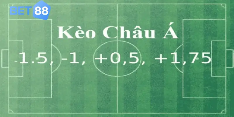 Khám phá các loại hình kèo Châu Á phổ biến hiện nay
