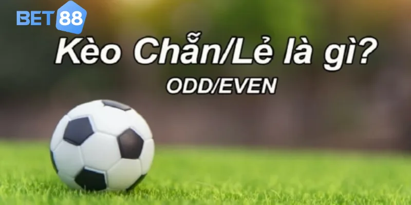Tổng quan về kèo chẵn lẽ
