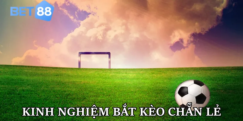 Kinh nghiệm thực tế giúp bạn bắt kèo chẵn lẻ chính xác
