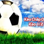 Kèo chấp 0.5 Bet88