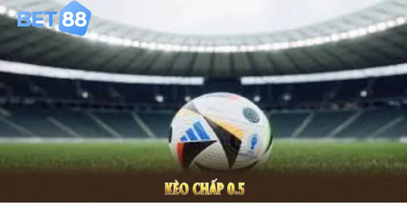 Hướng dẫn tham gia kèo chấp 0.5