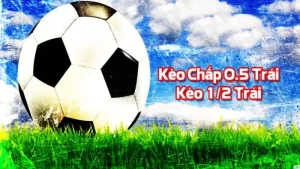 Kèo chấp 0.5 Bet88