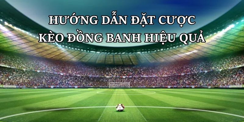 Hướng dẫn đặt cược kèo đồng banh đơn giản